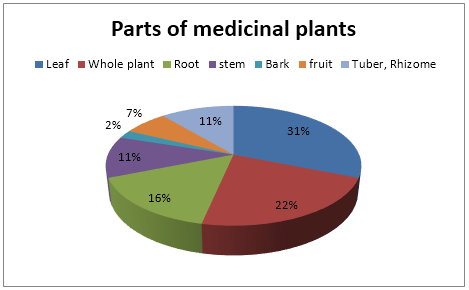 Fig: parts of medicinal plants used in treatment. 