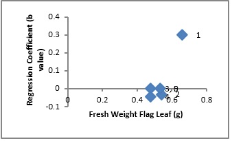 Scatter plot showing relationship of cultivars adaptation (Regression Coefficient) and fresh weight flag leaf in oat