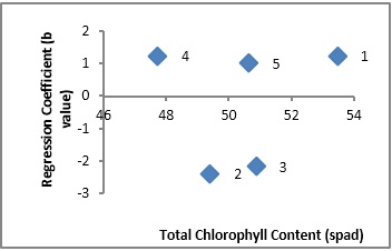 Scatter plot showing relationship of cultivars adaptation (Regression Coefficient) and total chlorophyll content in oat