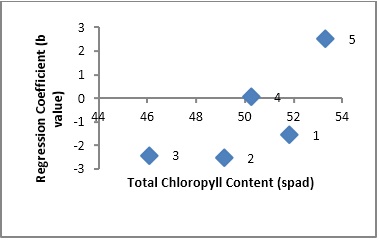 Scatter plot showing relationship of cultivars adaptation (Regression Coefficient) and total chlorophyll content in wheat