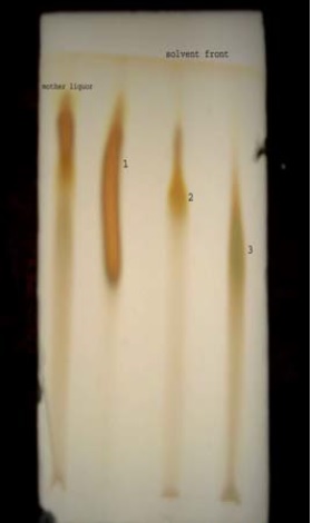 Thin layer chromatographic plate of isolated components from the mother liquor of glycosidic extract.