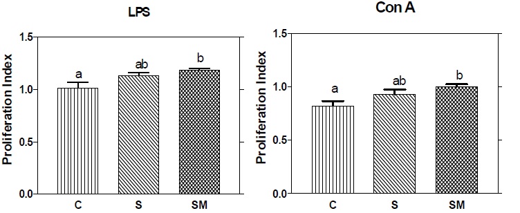 Effect of feeding A. racemosus and milk supplemented with A. racemosus on lymphocyte proliferation index. Mean in each bar with different superscripts (a, b) were significantly different (P<0.05) from each other. (C: control, S: A. racemosus (Shatavari), SM: A. racemosus (Shatavari) supplemented milk)