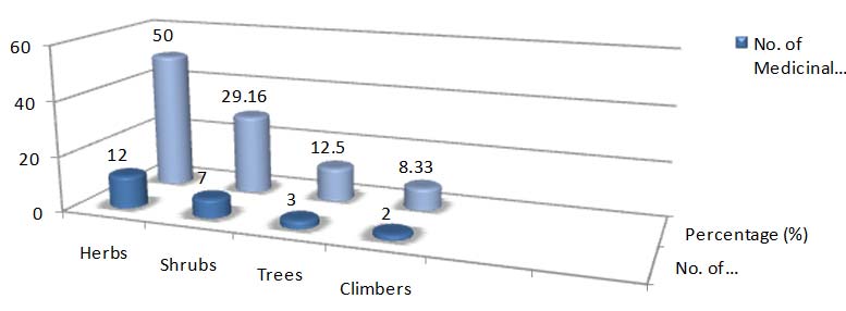 Percentage distribution of growth forms of ethno-medicinal plants.