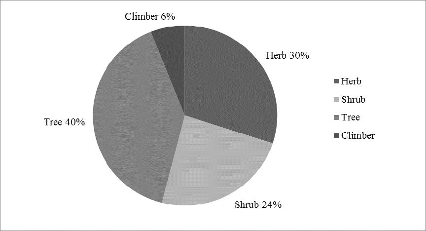 Percentage of life form (Plant habit) used by the Chakma community.