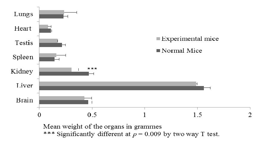 The mean weights of various organs in normal control mice and experimental mice in the single dose toxicity assay of C. tomentosa at 1000 mg/kg body weight.