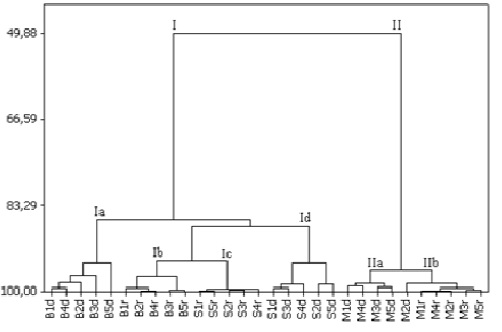 Hierarchical Component Analysis (HCA) of Platonia insignis plants collected from three populations from North of Brazil, in the dry and yet Amazon seasons. B1d-B5d = Bragança-dry season, B1r- B5r = Bragança-rainy season; S1d-S5d = São Caetano de Odivelasdry season; S1r-S5r = São Caetano de Odivelas-rainy season, M1d- M5d = Mosqueiro-dry season; M1r-M5r = Mosqueiro-rainy season.