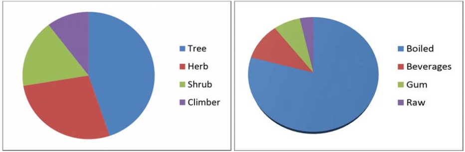 Percentage of less known wild edible plants in the form of (a) Habit, (b) Edibility