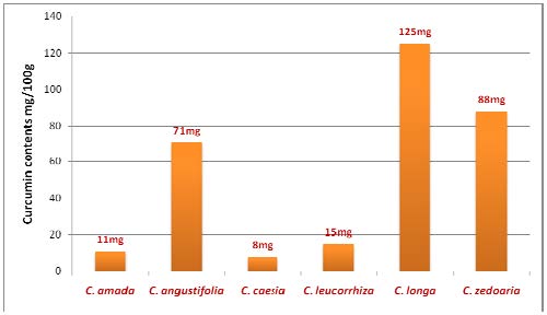Comparative analysis of curcumin contents in the six different species of Curcuma.