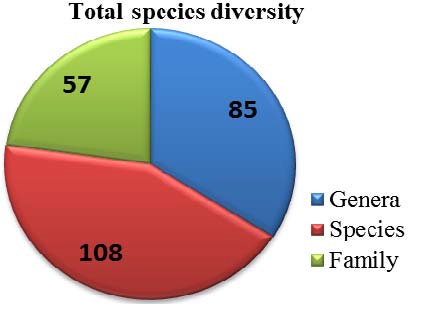 Total species diversity of wild edible fruits from Mulshi region