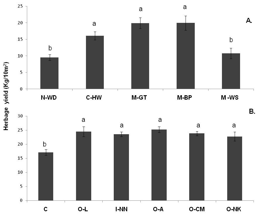 Effect of mulching (A.) and fertilizing (B.) on herbage yield (kg/10 m2) of Ocimum basilicum L. N-WD: Non-weeded, C-HW: control hand weeded, M-GT: geo textile, M-BP: black thick plastic, M-WS: wheat straw, C: control, O-L: Lipanfyt, I-NN: NH4NO3, O-A: Agrobiosol, O-CM: cattle manure, O-NK: Neem-cake. Values are mean (n = 4) ± SE. Vertical bars represent ± SE. Different letters indicate a significant difference at P ≤ 0.05 according to ANOVA and Duncan’s multiple range test.