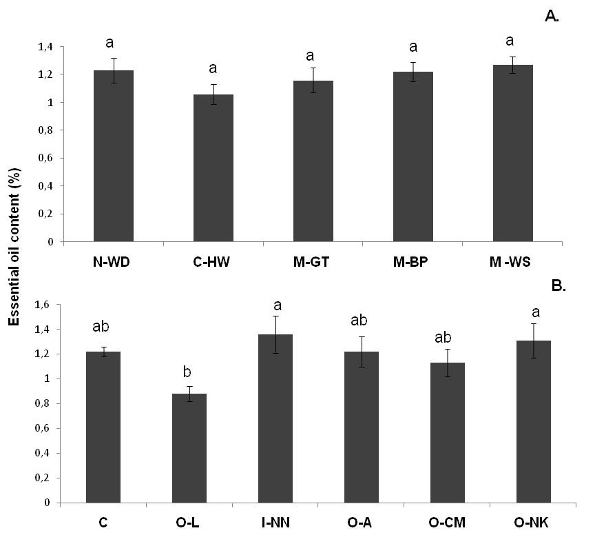 Effect of mulching (A.) and fertilizing (B.) on essential oil content (%) of Ocimum basilicum L. N-WD: Non-weeded, C-HW: control hand weeded, M-GT: geo textile, M-BP: black thick plastic , M-WS: wheat straw, C: control, O-L: Lipanfyt, I-NN: NH4NO3, O-A: Agrobiosol, O-CM: cattle manure, O-NK: Neem-cake. Values are mean (n = 4) ± SE. Vertical bars represent ± SE. Different letters indicate a significant difference at P ≤ 0.05 according to ANOVA and Duncan’s multiple range test.