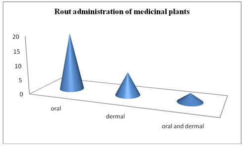Rout administration of medicinal plant`s remedies for human ailments in the study area.