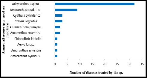 Number of diseases treated by some medicinal species of Amaranthaceous