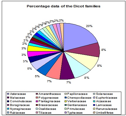Percentage data of the Dicot families