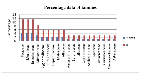 Graphic representation Percentage of Families
