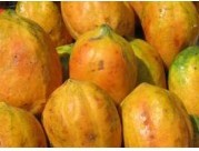 Fruits Of Papaya