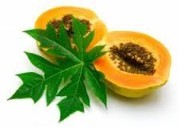 Carica papaya