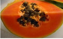 Seeds Of Papaya